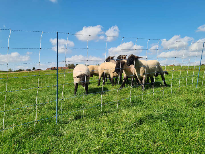 AKO Schafsnetz TitanNet Premium Vario